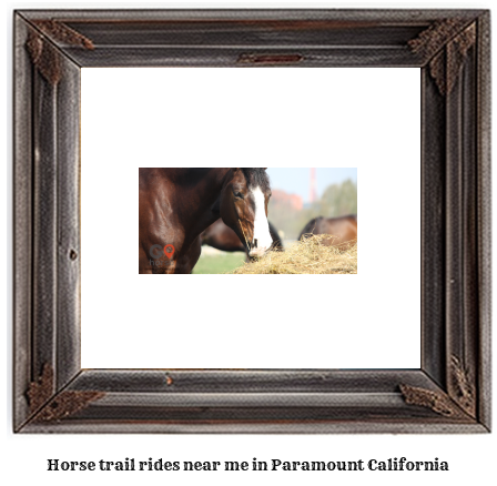 horse trail rides near me in Paramount, California